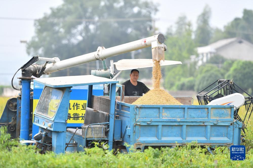 永利集团游戏网址